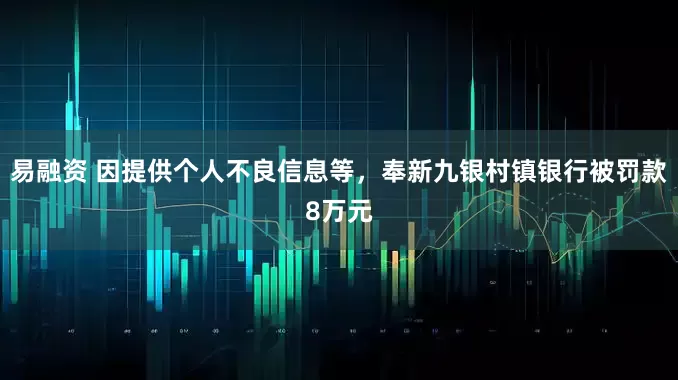 易融资 因提供个人不良信息等，奉新九银村镇银行被罚款8万元