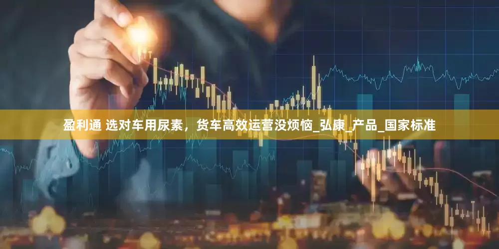 盈利通 选对车用尿素，货车高效运营没烦恼_弘康_产品_国家标准