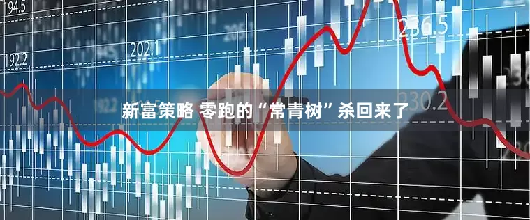 新富策略 零跑的“常青树”杀回来了
