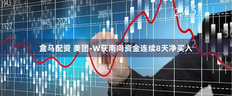 盒马配资 美团-W获南向资金连续8天净买入