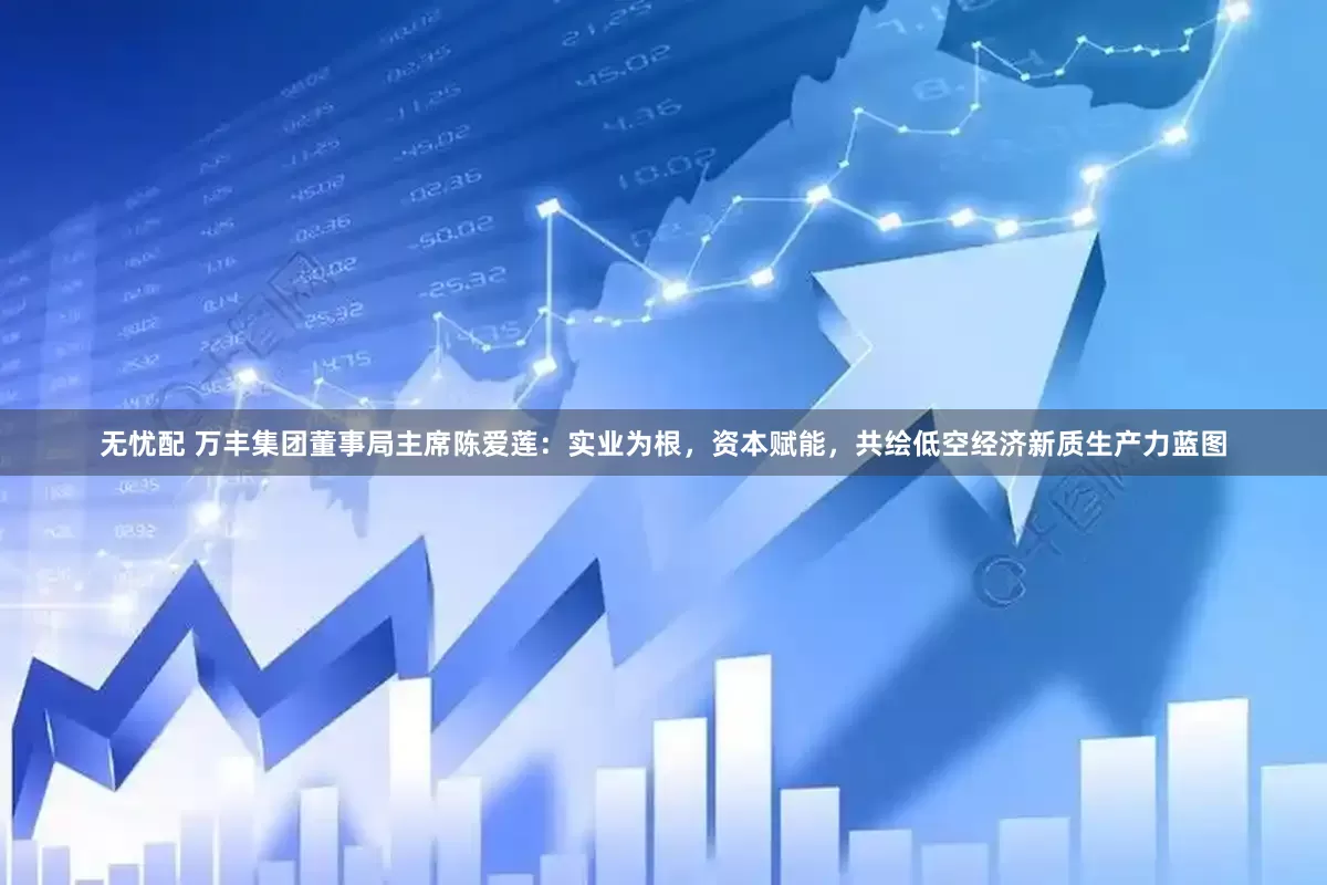 无忧配 万丰集团董事局主席陈爱莲：实业为根，资本赋能，共绘低空经济新质生产力蓝图