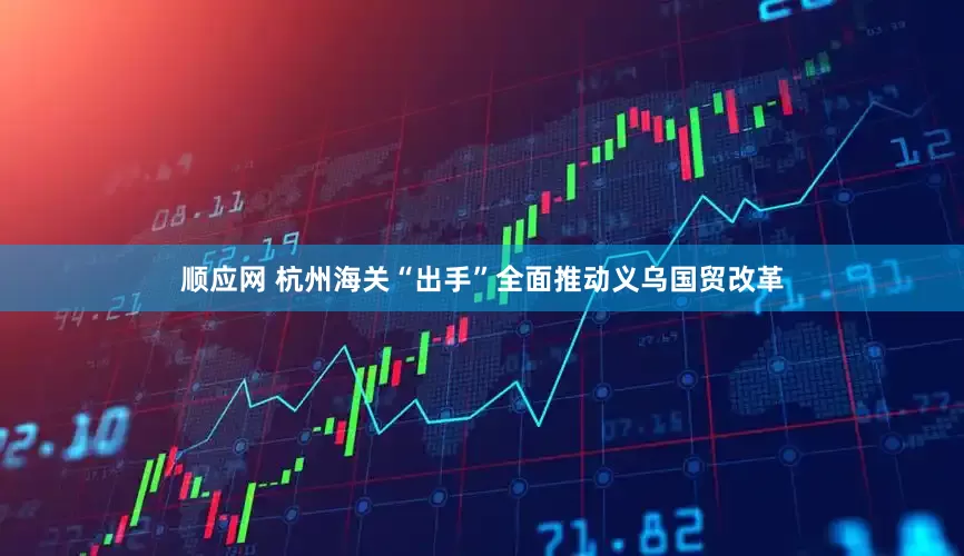 顺应网 杭州海关“出手”全面推动义乌国贸改革